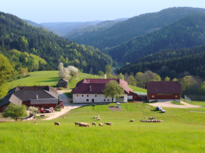 Jugendlager_Blick-vom-Berg