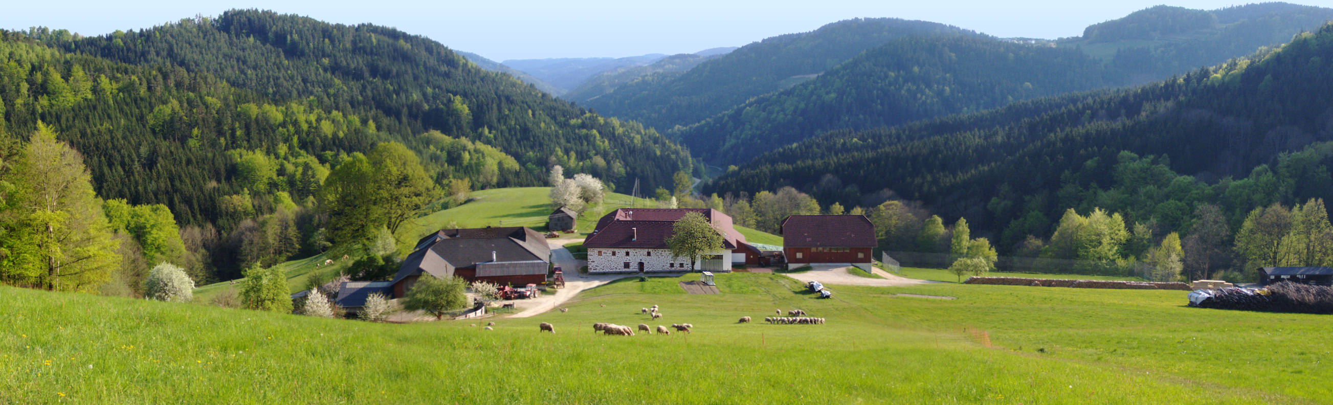 Langholzfeld kleinanzeigen sie sucht ihn: Neuzeug meine 